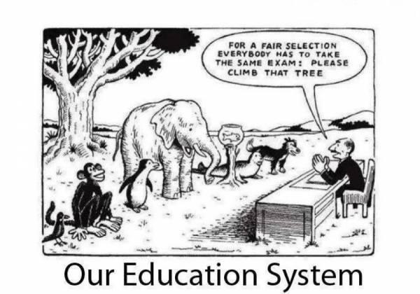 Our-Education-System.jpg